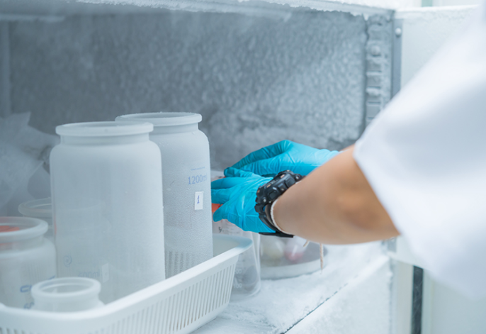 Routine Temperature Monitoring and WHO Recommendations for Temperature Data Logg