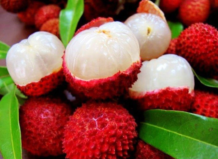 Application of Temperature and Humidity Recorder in Fresh Lychee Cold Chain Transportation(图1)