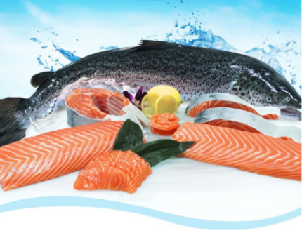 Temperature Data Logger Helps to Deliver the Best Quality Salmon to You