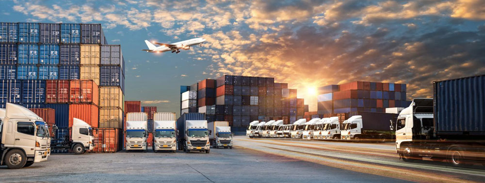 Freshliance—Cold Chain Solution Expert