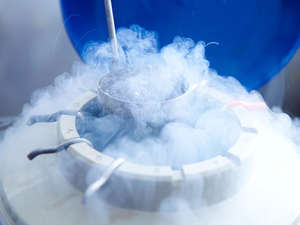 How to Store Human Tissue Safely