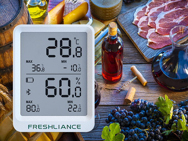 BlueTag TH20 Bluetooth Temperature and Humidity Data Logger