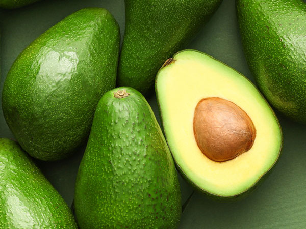 The Avocado’s Journey from Orchard to Supermarket