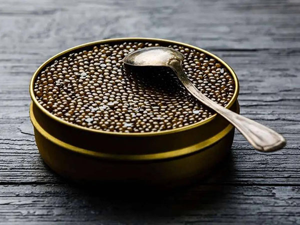 How to Transport Caviar under the Right Temperature