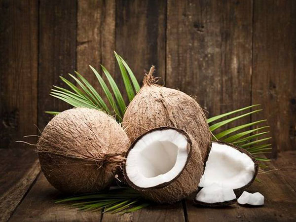 How Important Temperature Monitoring is in Coconut Supply Chain