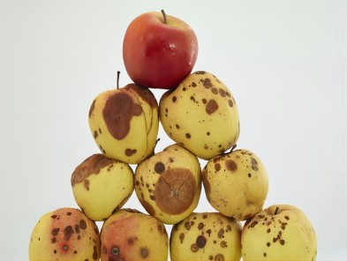 Temperature monitoring for perishable products Bluetooth HACCP temperature and h