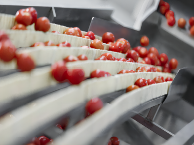 How Temperature data logger works in food processing workshop Reusable temperatu