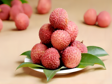 Temperature monitoring during transport for Lychee single use temperature data l
