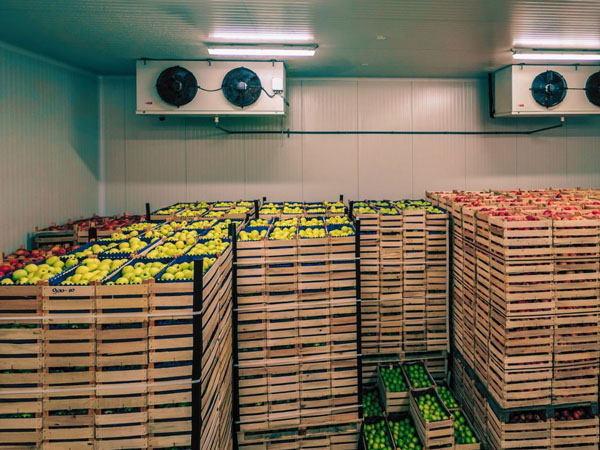 Real-time Temperature and Humidity Monitoring in Cold Chain Storage and Transpor