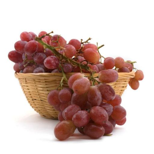 A better way to monitor your grapes during transport -Temperature data logger