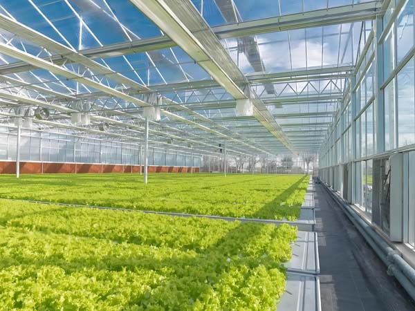 Real-time Temperature Monitoring Solutions for Greenhouse