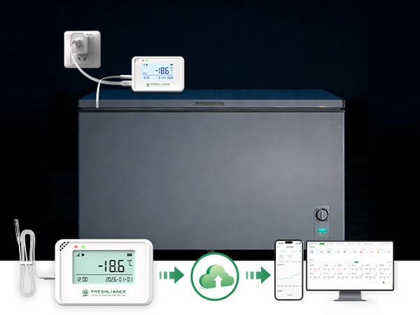 COEUS Mini Compact Real-Time Temperature Humidity Data Logger