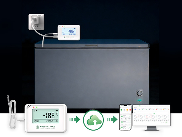 coeus-mini-real-time-temperature-humidity-data-logger2.jpg