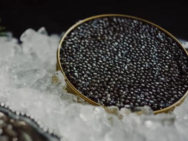 caviar-transportation-guide-cold-chain-logistics-and-temperature-monitoring1.jpg