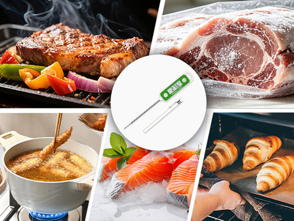 FN1100 Waterproof Food Thermometer