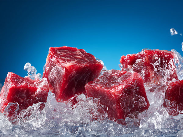 Real-time Temperature Monitoring Solution for Meat Cold Chain Transport