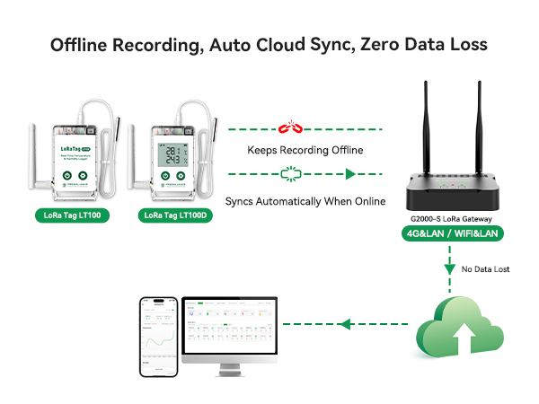 LoRa Tag LT100 local reading buffer and offline logging