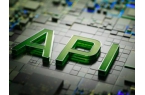 Professional API Integration f