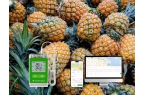 How Fresh Tracker 10 Real-time