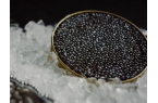 Caviar Transportation Guide: C