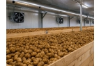 Smart Potato Storage with Real
