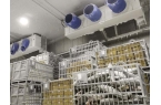 Dry Ice Temperature Monitor fo
