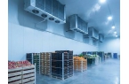 Cold Room Real-time Temperatur